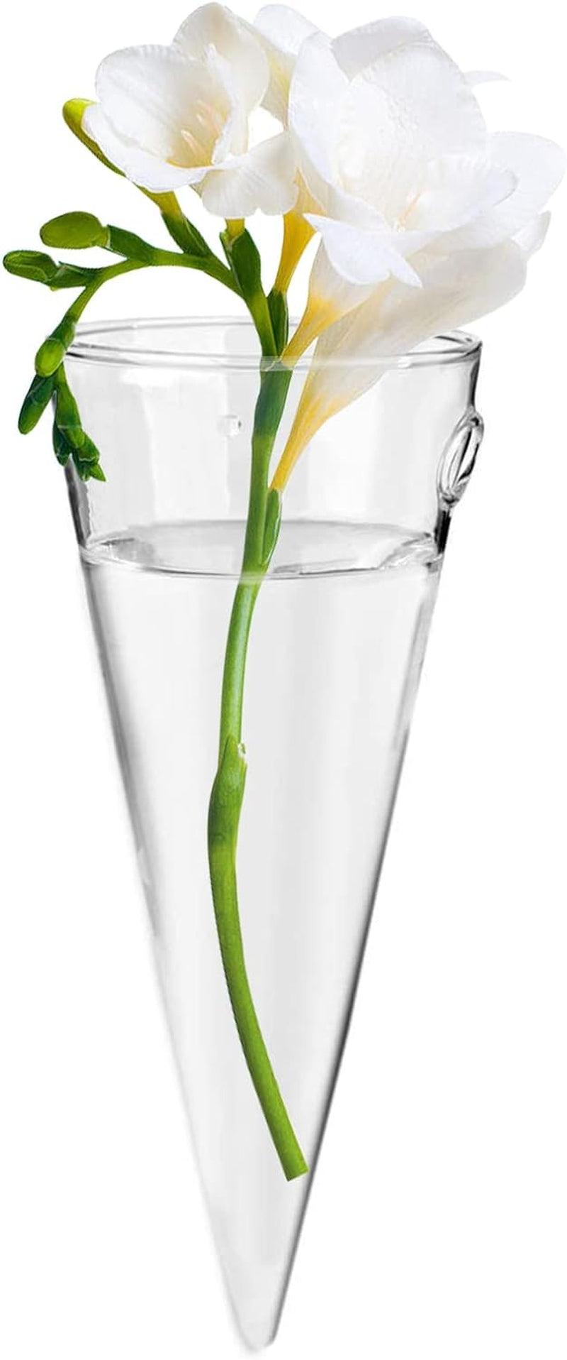 Clear Circular Cone Glass Wall Hanging Vase Flower Vase Bottle for Plant Holder Flower Creative Decor Cone Type Vase Succulent Planter Arrangement for Bedroom Kitchen Living Room Office